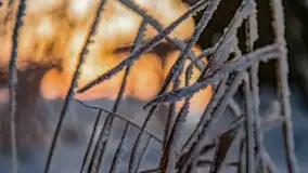 Bajkowe i zimowe klimaty nad jeziorem Dargin, grudzień 2022 - zdjęcie 68