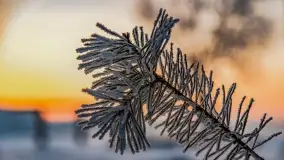 Bajkowe i zimowe klimaty nad jeziorem Dargin, grudzień 2022 - zdjęcie 62