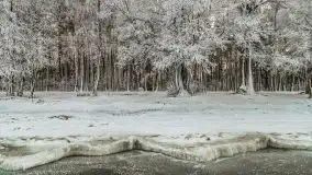 Bajkowe klimaty z zameldowaniem na łonie natury - zdjęcie 21
