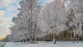 Bajkowe klimaty z zameldowaniem na łonie natury - zdjęcie 15