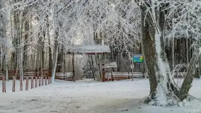 Bajkowe klimaty z zameldowaniem na łonie natury - zdjęcie 42