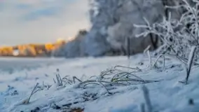 Bajkowe klimaty z zameldowaniem na łonie natury - zdjęcie 4