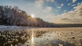 Bajkowe klimaty z zameldowaniem na łonie natury - zdjęcie 11