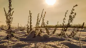 Zima nad Darginem w Zdorkowie w Harszu - zdjęcie 6