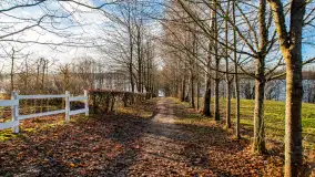 Zima już bez śniegu w Trygorcie, końcówka 2022 roku - zdjęcie 13