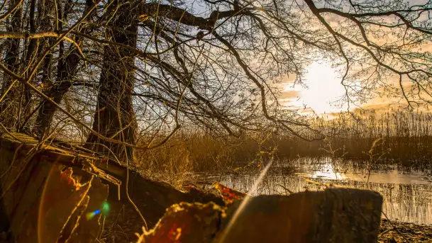 Zima już bez śniegu w Trygorcie, końcówka 2022 roku - zdjęcie 6