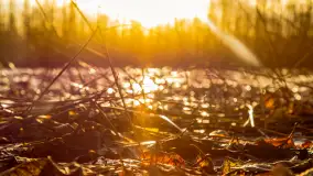 Zima już bez śniegu w Trygorcie, końcówka 2022 roku - zdjęcie 26