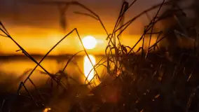 Grudniowy zachód słońca nad jeziorem Łabap - zdjęcie 14