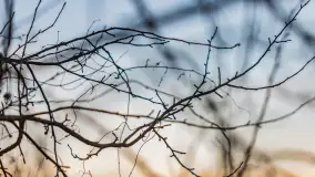 Wschód słońca nad jeziorem Śniardwy, Krzywy Róg - zdjęcie 11