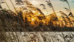 Wschód słońca nad jeziorem Śniardwy, Krzywy Róg - zdjęcie 9