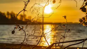 Wschód słońca nad jeziorem Śniardwy, Krzywy Róg - zdjęcie 26