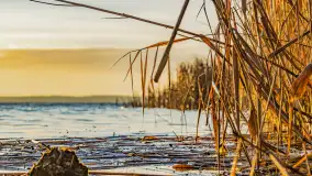 Wschód słońca nad jeziorem Śniardwy, Krzywy Róg - zdjęcie 7