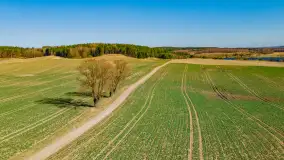 Wiosenny mix ujęć, kwiecień - czerwiec 2022 r. - zdjęcie 49