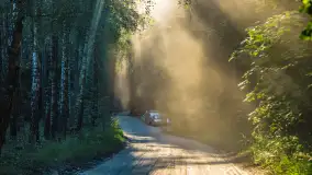 Wiosenny mix ujęć, kwiecień - czerwiec 2022 r. - zdjęcie 7