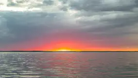 Wiosenny mix ujęć, kwiecień - czerwiec 2022 r. - zdjęcie 84