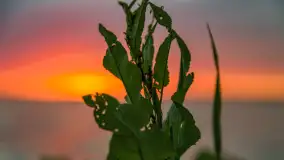 Wiosenny mix ujęć, kwiecień - czerwiec 2022 r. - zdjęcie 81