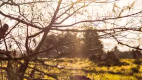 Zimowy poranek w Piszu nad Pisą, styczeń 2023 - zdjęcie 32