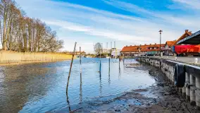 Zimowy poranek w Piszu nad Pisą, styczeń 2023 - zdjęcie 3