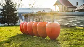 Zimowy poranek w Piszu nad Pisą, styczeń 2023 - zdjęcie 26