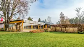 Wiosenne popołudnie w środku zimy w Mazurskim Raju, styczeń 2023 - zdjęcie 11