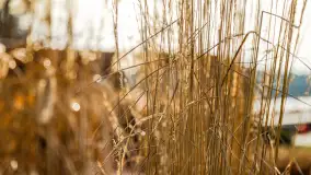 Wiosenne popołudnie w środku zimy w Mazurskim Raju, styczeń 2023 - zdjęcie 18