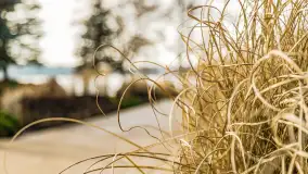 Wiosenne popołudnie w środku zimy w Mazurskim Raju, styczeń 2023 - zdjęcie 26