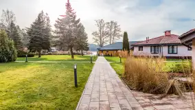 Wiosenne popołudnie w środku zimy w Mazurskim Raju, styczeń 2023 - zdjęcie 23