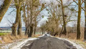 Rzeka Dajna i okolice, luty 2023 - zdjęcie 41