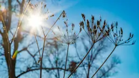 Rzeka Dajna i okolice, luty 2023 - zdjęcie 25