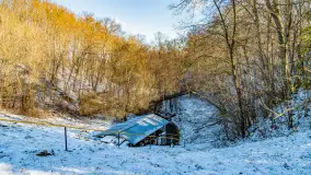 Rzeka Dajna i okolice, luty 2023 - zdjęcie 5