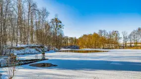 Rzeka Dajna i okolice, luty 2023 - zdjęcie 35