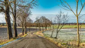 Rzeka Dajna i okolice, luty 2023 - zdjęcie 44