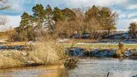 Rzeka Dajna i okolice, luty 2023 - zdjęcie 79