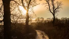 Zachód słońca w okolicy rzeki Guber, luty 2023 - zdjęcie 12