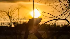 Zachód słońca w okolicy rzeki Guber, luty 2023 - zdjęcie 14