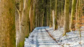 Spacer po lesie kętrzyńskim, górka poznańska i rzeka Guber - zdjęcie 25