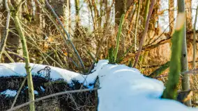 Spacer po lesie kętrzyńskim, górka poznańska i rzeka Guber - zdjęcie 22