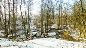 Spacer po lesie kętrzyńskim, górka poznańska i rzeka Guber - zdjęcie 4