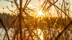 Zachód słońca nad jeziorem Ryńskim - zdjęcie 21