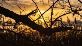 Zachód słońca nad jeziorem Mój, luty 2023 r. - zdjęcie 33