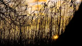 Zachód słońca nad jeziorem Mój, luty 2023 r. - zdjęcie 27