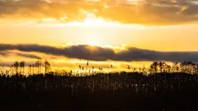 Zachód słońca nad jeziorem Mój, luty 2023 r. - zdjęcie 21