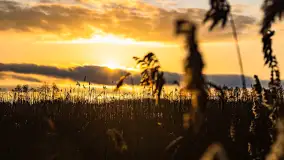 Zachód słońca nad jeziorem Mój, luty 2023 r. - zdjęcie 18