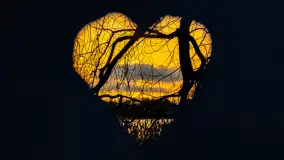 Zachód słońca nad jeziorem Mój, luty 2023 r. - zdjęcie 11