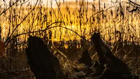 Zachód słońca nad jeziorem Mój, luty 2023 r. - zdjęcie 23