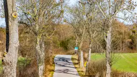 Wczesne przedwiośnie na Mazurach, luty 2023 r. - zdjęcie 36