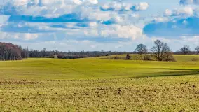 Wczesne przedwiośnie na Mazurach, luty 2023 r. - zdjęcie 7