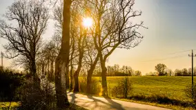 Wczesne przedwiośnie na Mazurach, luty 2023 r. - zdjęcie 15