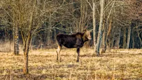 Wczesne przedwiośnie na Mazurach, luty 2023 r. - zdjęcie 8