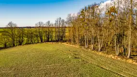 Wczesne przedwiośnie na Mazurach, luty 2023 r. - zdjęcie 46